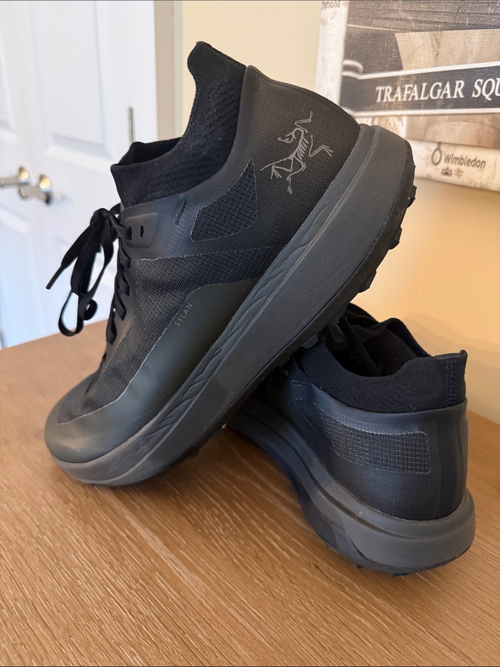 Arc'teryx Black Men's Sylan Trail Sneakers — Minimalist All-Terrain Style